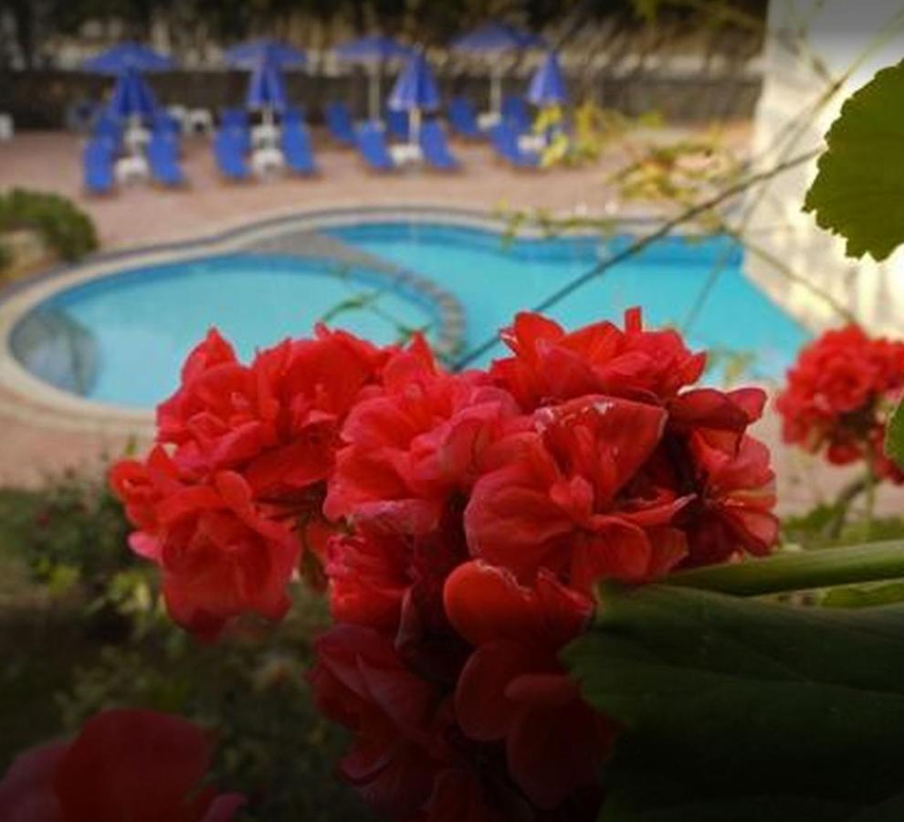 Lili Apartments,Oasis 2,5 Km From Hania Center Parigoria Esterno foto